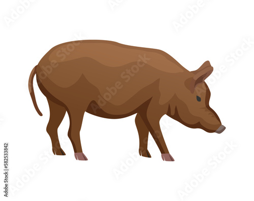 Pig Flat Illustration