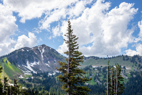 mountain with sky and trees