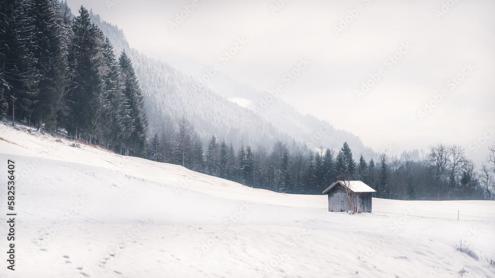 Verschneite Alpenhütte am Fuße eines Berges, zu sehen ist ein verschneites Feld, im Hintergrund der Beginn der Alpen und ein verschneiter Nadelwald Verschneite Alpenhütte am Fuße eines Berges, zu sehen ist ein verschneites Feld, im Hintergrund der Beginn der Alpen und ein verschneiter Nadelwald