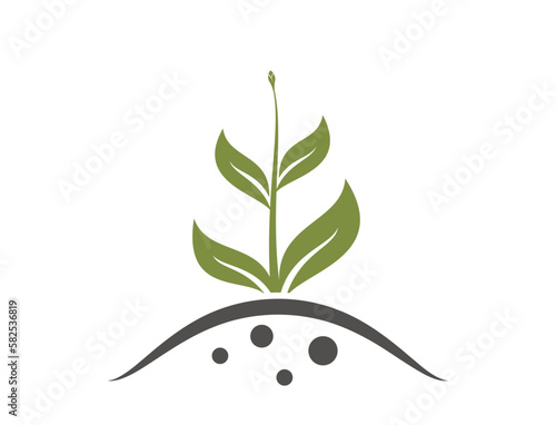 sprouted plant with bud. gardening, planting and growing symbol