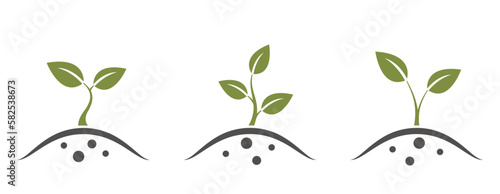 plant sprout set. planting, seedling, farming and gardening symbol