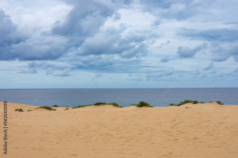 Sand dunes and beaches in the park of Fuerteventura Island
