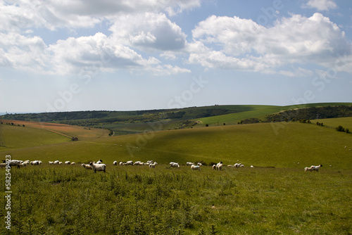 landscap of nature of the company