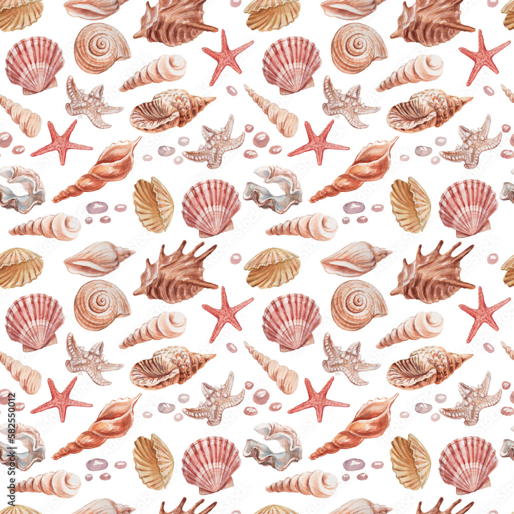 seashells shells marine nature aquatic underwater world wild nature Hand drawn watercolor illustration. Set isolated on white background sketch realistic style seashells shells marine nature aquatic underwater world wild nature Hand drawn watercolor illustration. Set isolated on white background sketch realistic style