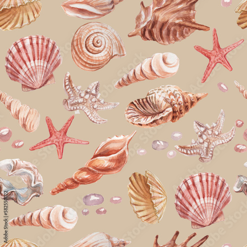 seashells shells marine nature aquatic underwater world wild nature Hand drawn watercolor illustration. Set isolated on white background sketch realistic style