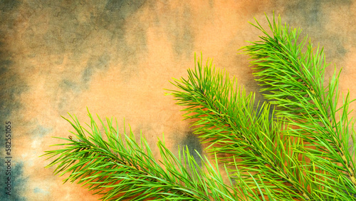 new year and christmas  fir branches close-up on a colorful background  empty space for text
