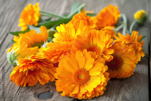 Calendula pictures showcase the bright and cheerful flowers of the Calendula officinalis plant. photo