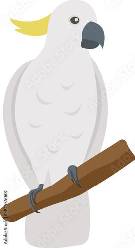 Cute flat cockatoo isolated on transparent background. Vector white parrot.