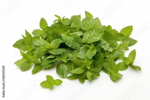 Mint pictures showcase the refreshing and vibrant green leaves of the popular herb. These images can range from close-up shots to full plants and are perfect for food, health content.