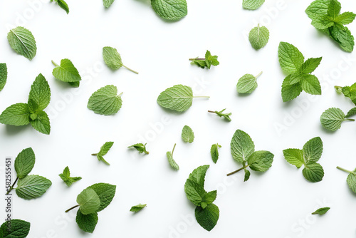 Mint pictures showcase the refreshing and vibrant green leaves of the popular herb. These images can range from close-up shots to full plants and are perfect for food, health content.