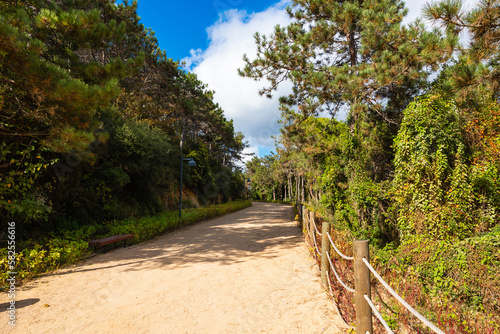 Jog or hike trail in the public park. Haciosman or Ataturk City Forest photo