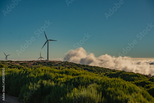 wind turbines farm