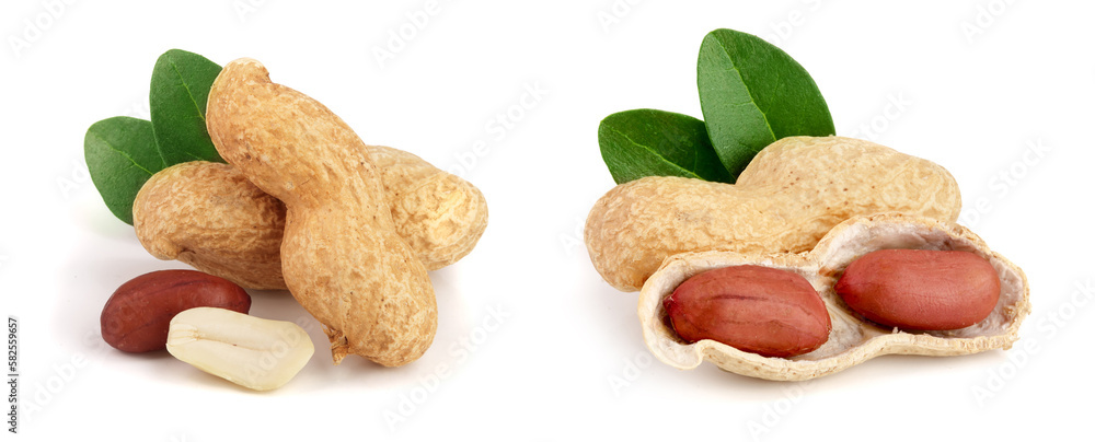 peanuts with leaf isolated on white background peanuts with leaf isolated on white background