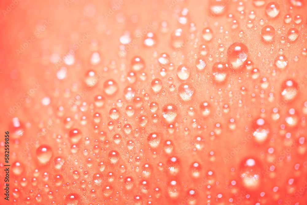 water drops on red water drops on red