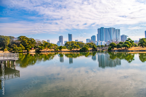 Hamarikyu Gardens is a large and attractive landscape garden in Tokyo, Chuo district, Sumida River, Japan. Oriental japanese garden. The Hama Rikyu is in contrast to the skyscrapers of city. photo