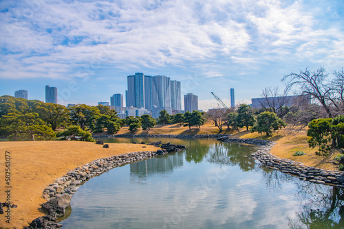 Hamarikyu Gardens is a large and attractive landscape garden in Tokyo, Chuo district, Sumida River, Japan. Oriental japanese garden. The Hama Rikyu is in contrast to the skyscrapers of city. photo