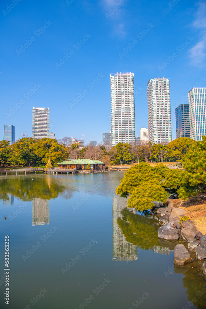 Hamarikyu Gardens is a large and attractive landscape garden in Tokyo, Chuo district, Sumida River, Japan. Oriental japanese garden. The Hama Rikyu is in contrast to the skyscrapers of city.