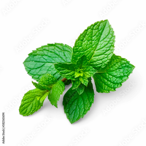 Isolated Mint on transparent background, Generative AI