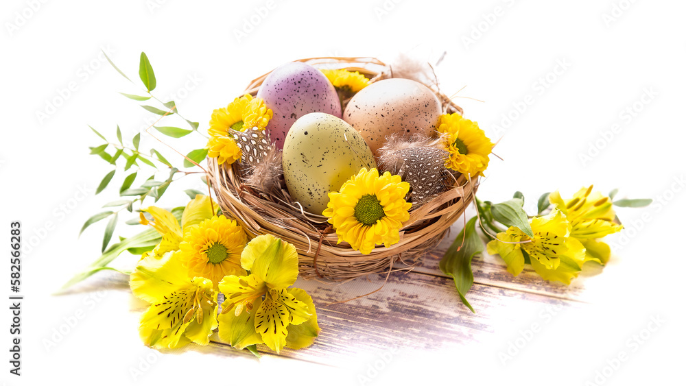 Happy Easter. Three spotted eggs in the nest and spring yellow flowers. isolate