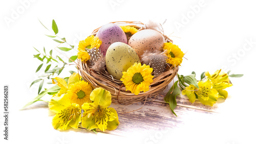 Happy Easter. Three spotted eggs in the nest and spring yellow flowers. isolate