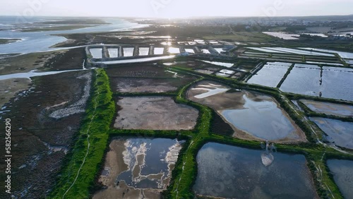 Aerial view from a drone of the landscape of marshes and salt flats of the Ria Formosa Natural Park. Atlantic Ocean. Algarve. Portugal. Europe
