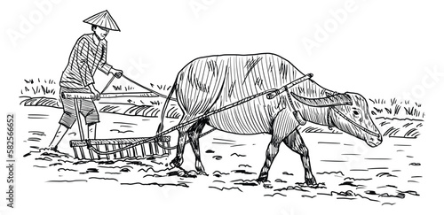 Hand drawn Thai famer and buffalo in paddy field