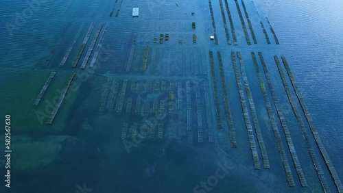Landscape at sunset of oyster farms between Olha and Fuseta. Aerial view from a drone of the landscape of marshes and salt flats of the Ria Formosa Natural Park. Atlantic Ocean. Algarve. Portugal. Eur