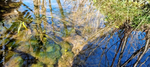 grass and water