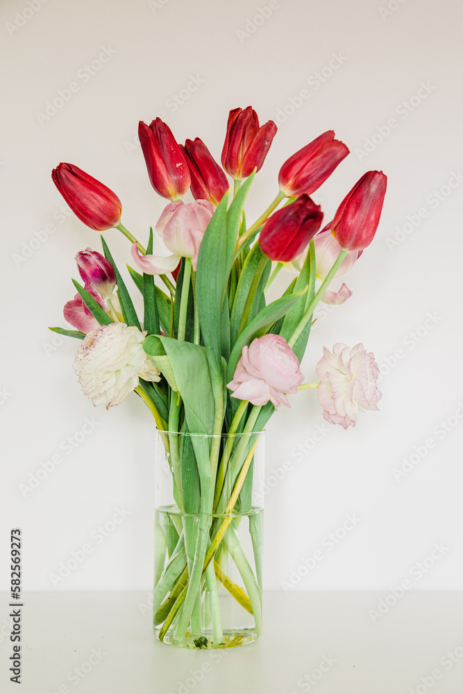 Spring flowers in a vase. Tulips in the house with white walls. Tulips and spring mood in the house Spring flowers in a vase. Tulips in the house with white walls. Tulips and spring mood in the house