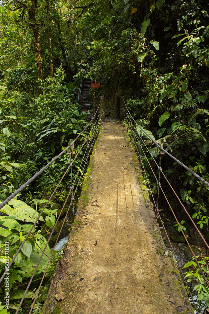 Footbridge on the hiking track Santuario de Cascadas at the waterfall Cascada Ondinas in Minjoy Park in Mindo, Ecuador, South America
Footbridge on the hiking track Santuario de Cascadas at the waterfall Cascada Ondinas in Minjoy Park in Mindo, Ecuador, South America
