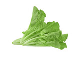 choy   isolated  on  transparent png