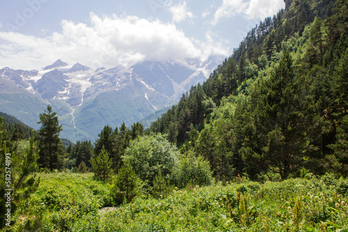 Pastoral landscape - green hillsides and snowy peaks of the high Caucasus mountains with glaciers on a sunny summer day and an alpine meadow with grass and trees in Kabardino-Balkaria in the Terskol