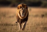 During a wildlife trip in the Masai Mara national reserve, a male lion walks majestically. Generative AI