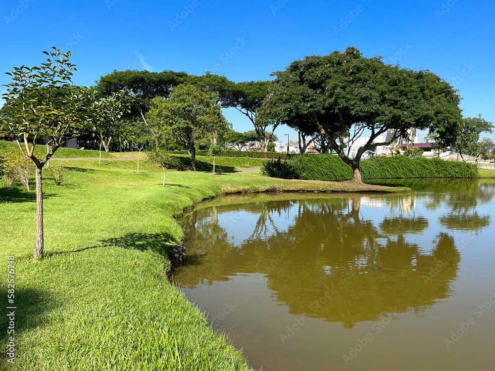 Naklejka premium tree and lake in the park