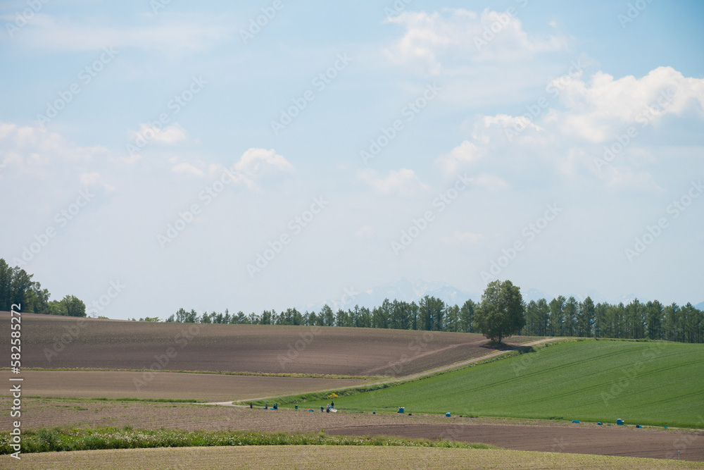 Obraz premium 春の畑作地帯と青空