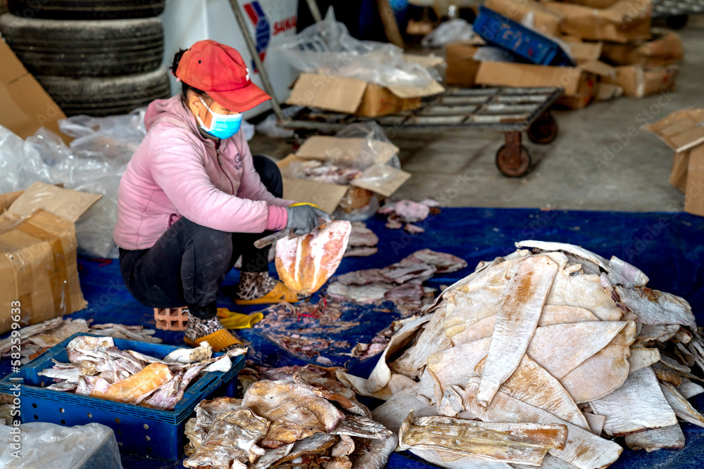 Dried squid processing factory after being caught at sea in Quy Nhon, Binh Dinh province, Vietnam - Dried and packaged finished product Dried squid processing factory after being caught at sea in Quy Nhon, Binh Dinh province, Vietnam - Dried and packaged finished product