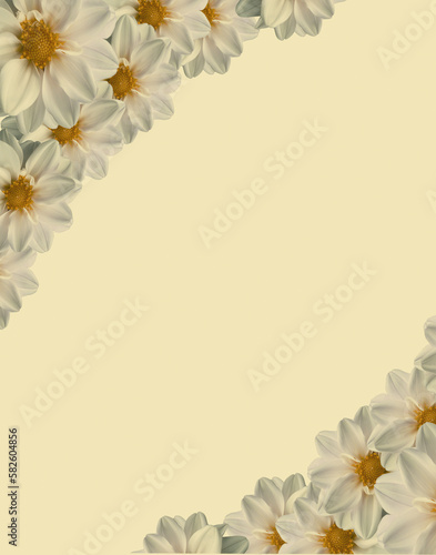 white flowers frame