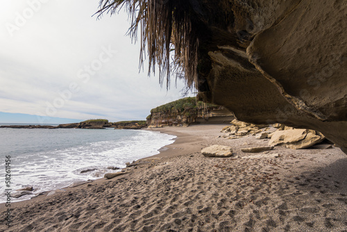 views of paparoa national park, new zealand photo