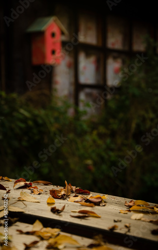 parque jardin en otoño lleno de hojas secas, banco, mesa, pajareras