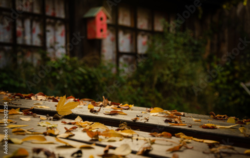parque jardin en otoño lleno de hojas secas, banco, mesa, pajareras