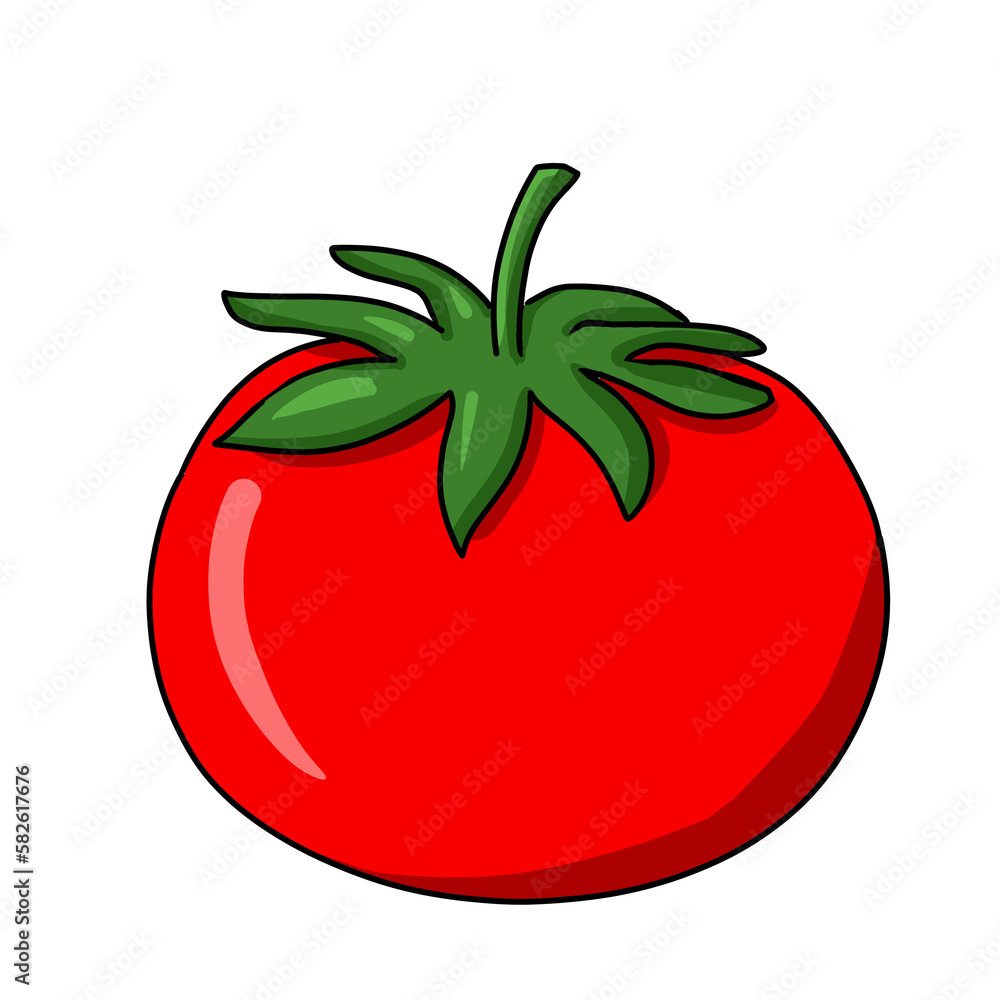 a red tomato, freshly harvested from the garden and looking very good to eat a red tomato, freshly harvested from the garden and looking very good to eat
