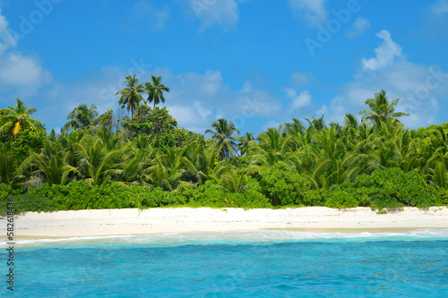 Coconut palm trees on sand beach of the island Grande Soeur near La Digue, Indian Ocean, Seychelles.