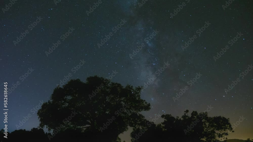 A starry sky with a milky trail and the silhouette of a lush tree. Aircraft lights whizzing across the sky. A time lapse of a clear starry sky. A smooth zoom out with the camera A starry sky with a milky trail and the silhouette of a lush tree. Aircraft lights whizzing across the sky. A time lapse of a clear starry sky. A smooth zoom out with the camera