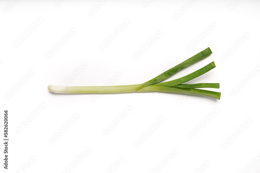 Green onions close-up on white background