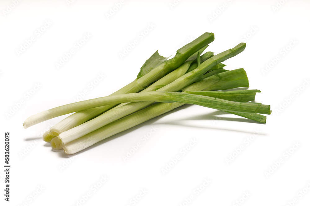 Green onions close-up on white background Green onions close-up on white background