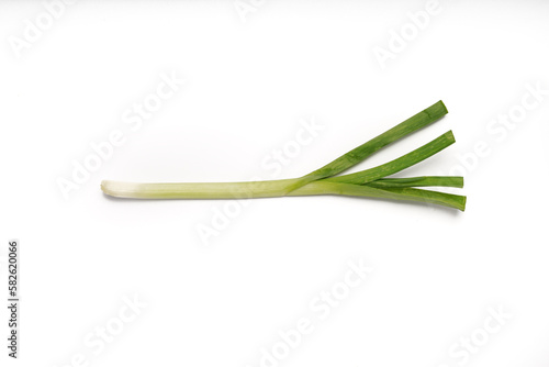 Green onions close-up on white background