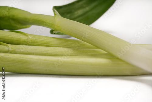 Green onions close-up on white background