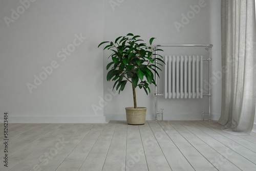 modern empty room with heating battery and beautiful plant 2 interior design. 3D illustration
