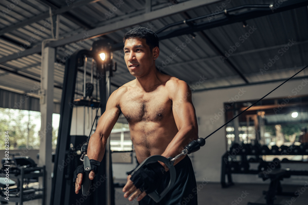 Fitness man exercising on exercise machine at gym. Sport man workout weight training pump up arm and shoulders muscles in fitness gym. Weight training exercise in concept of health and wellness. Fitness man exercising on exercise machine at gym. Sport man workout weight training pump up arm and shoulders muscles in fitness gym. Weight training exercise in concept of health and wellness.
