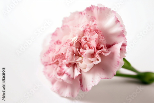 Mother's day carnations, bouquet. pure white background. generative Ai technology